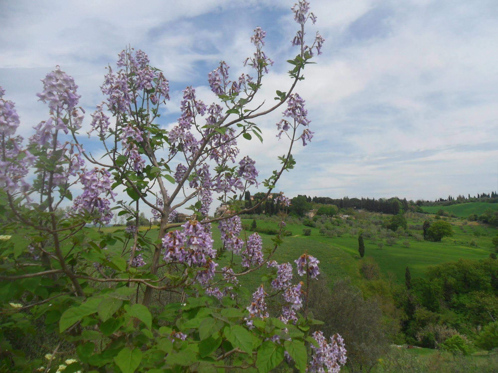 Fullino Nero Rta - Residenza Turistico Alberghiera Siena Eksteriør billede